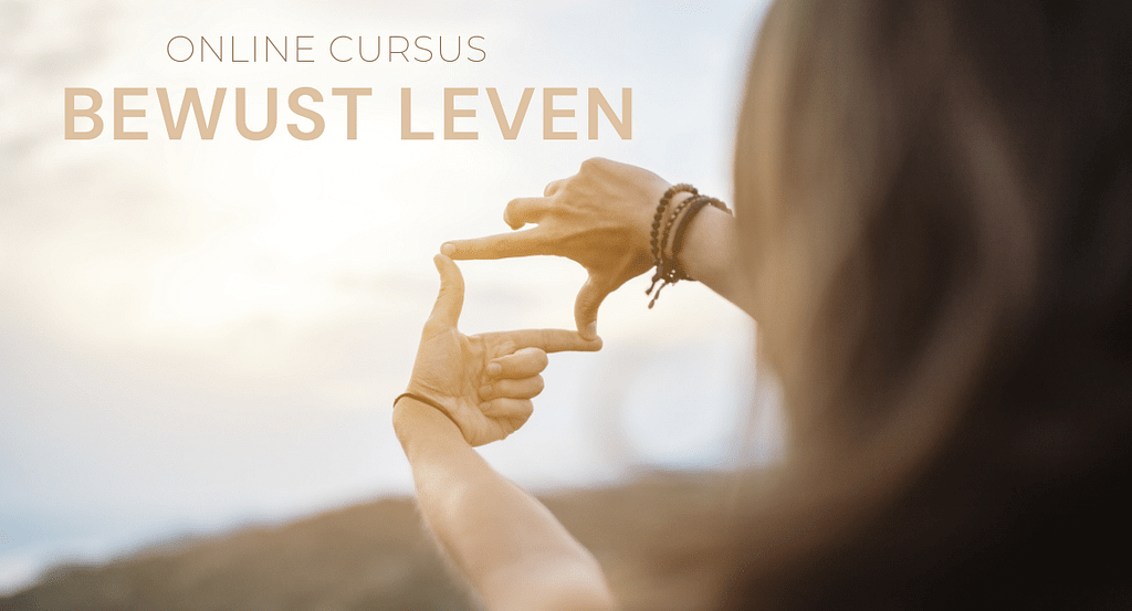 Cursus bewust leven omslag win online cursus bewust leven